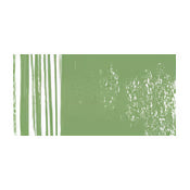 Moss Grey Green 173 Sennelier Pastel Pencil
