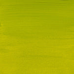 Olive Green Light 621 Amsterdam