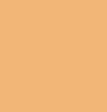 Pitt Artist Pen Faber Castell 113 Orange Glaze