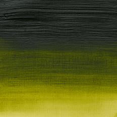 Perm Sap Green Winsor &amp; Newton Artist Acrylic
