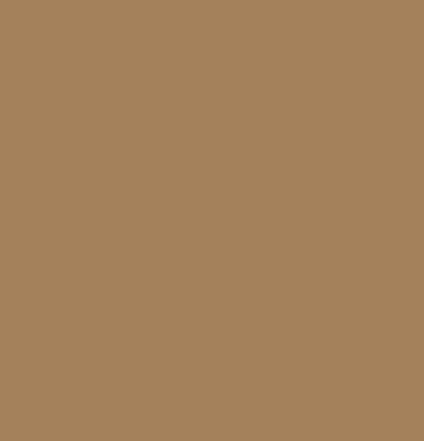 Pitt Artist Pen Faber Castell 180 Raw Umber