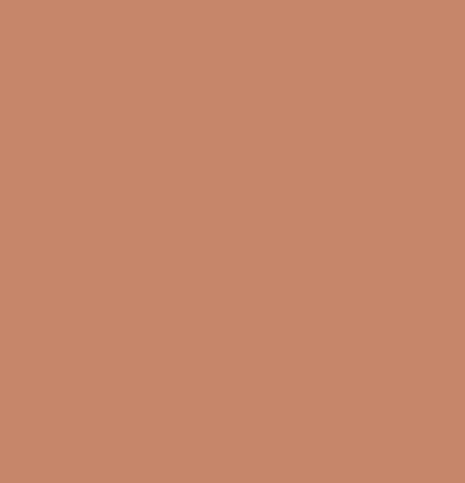Pitt Artist Pen Faber Castell 186 Terracotta