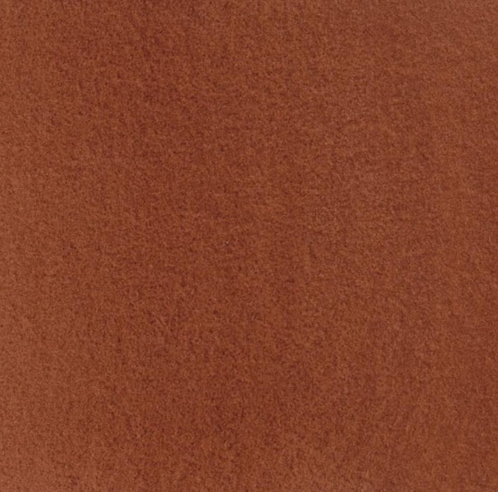 Transparent Red Oxide DANIEL SMITH 1/2 Pan