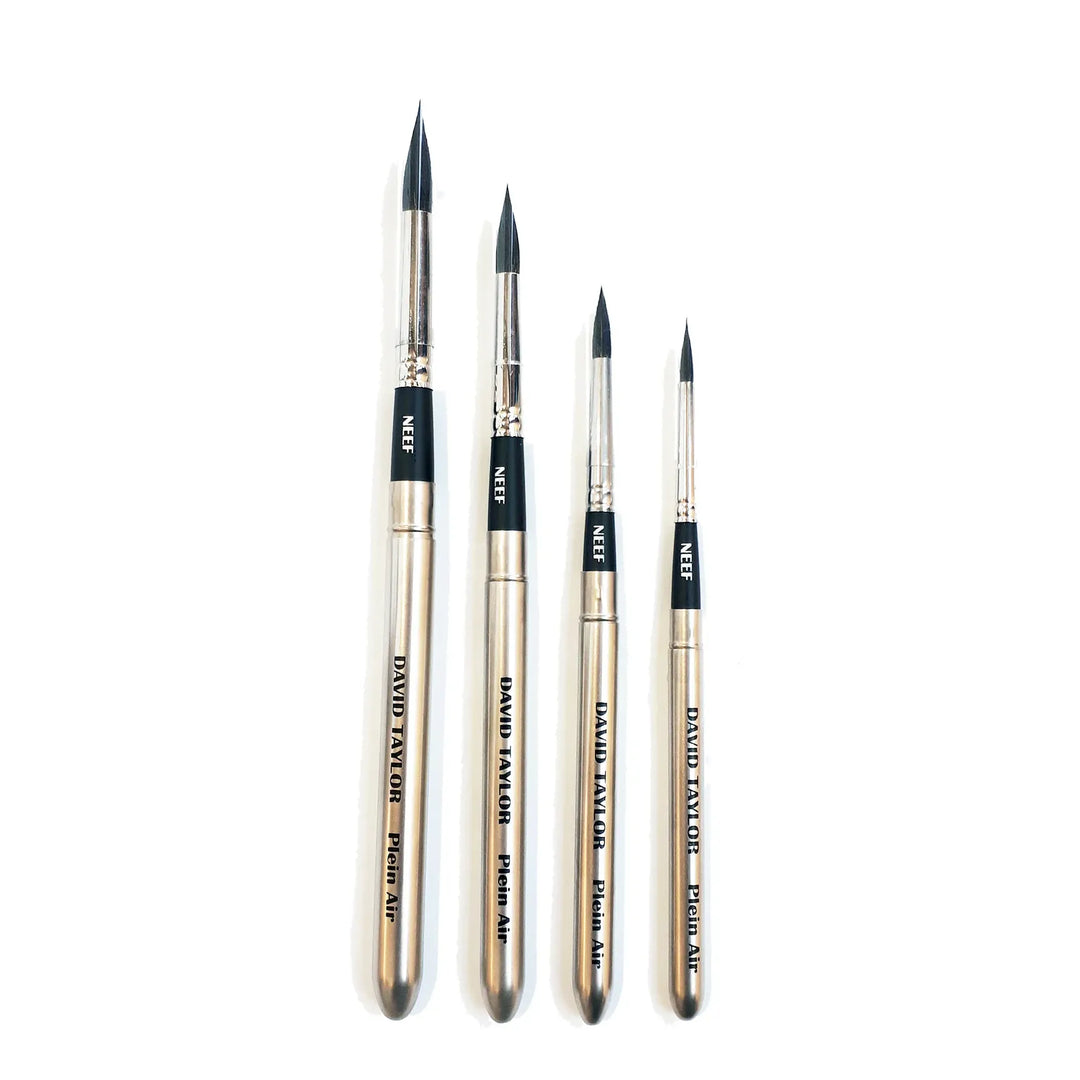Neef David Taylor Pocket Brush