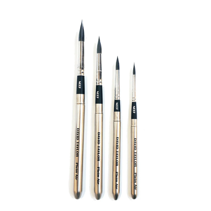 Neef David Taylor Pocket Brush