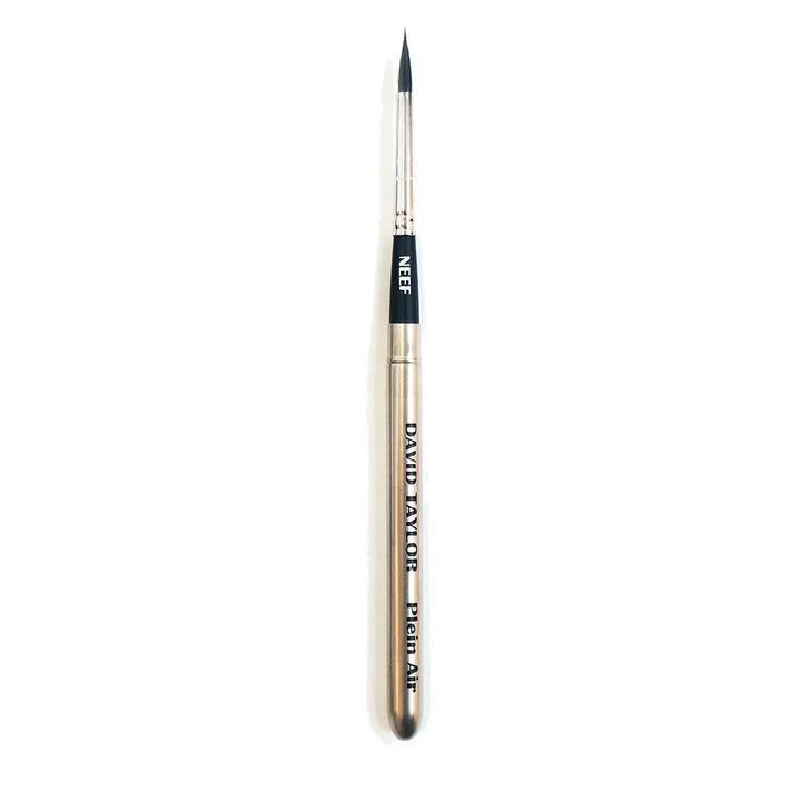 Neef David Taylor Pocket Brush
