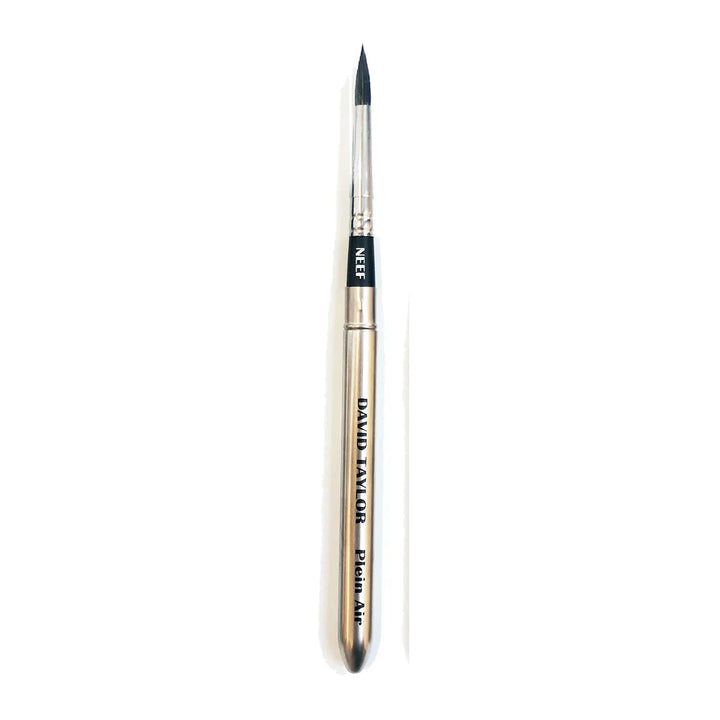 Neef David Taylor Pocket Brush