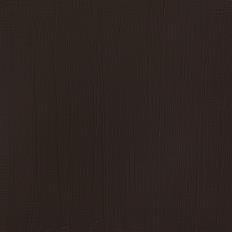 Burnt Umber Winsor &amp; Newton Artist Acrylic