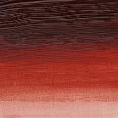 Burnt Orange Winsor &amp; Newton Artist Acrylic 60ml
