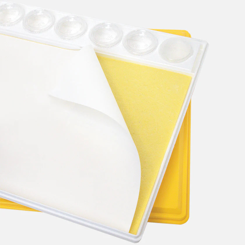 Painters Pal Acrylic Paper Refill 30 sheets Masterson