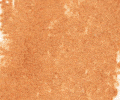 016 Flesh Ochre Sennelier Extra Soft Pastel - Click Image to Close