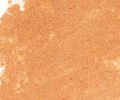 017 Flesh Ochre Sennelier Extra Soft Pastel - Click Image to Close