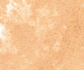 018 Flesh Ochre Sennelier Extra Soft Pastel - Click Image to Close