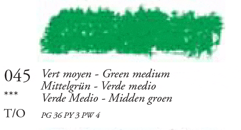 045 Green Medium Large Sennelier Oil Pastel - Click Image to Close