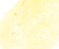 103 Naples Yellow Sennelier Extra Soft Pastel