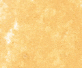 115 Yellow Ochre Sennelier Extra Soft Pastel - Click Image to Close