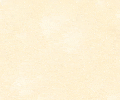 117 Yellow Ochre Sennelier Extra Soft Pastel - Click Image to Close