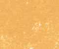 129 Golden Ochre Sennelier Extra Soft Pastel - Click Image to Close