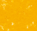 197 Cadmium Yellow Orange Sennelier Extra Soft Pastel - Click Image to Close