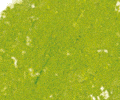 203 Leaf Green Sennelier Extra Soft Pastel