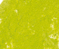 204 Leaf Green Sennelier Extra Soft Pastel