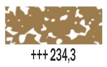 234.3 Raw Sienna Rembrandt Soft Pastel