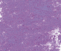 283 Purple Blue Sennelier Extra Soft Pastel - Click Image to Close