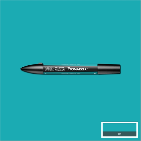 Turquoise (C247) Winsor Pro Marker - Click Image to Close