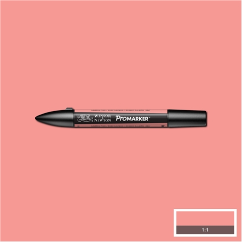 Salmon Pink (R547) Winsor Pro Marker - Click Image to Close