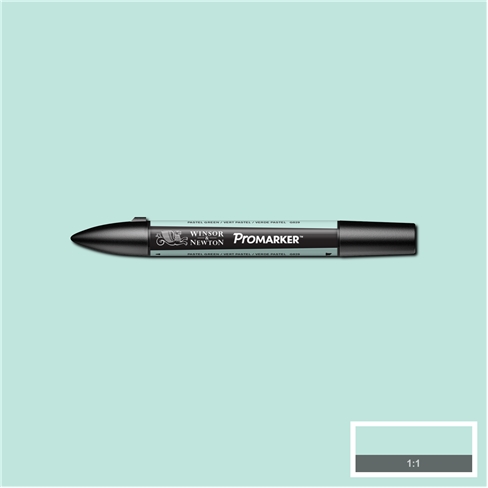Pastel Green (G829) Winsor Pro Marker - Click Image to Close