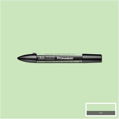 Meadow Green (G339) Winsor Pro Marker - Click Image to Close