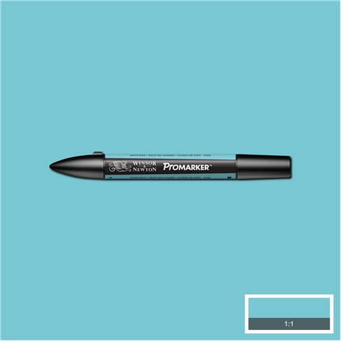 Duck Egg (C528) Winsor Pro Marker - Click Image to Close