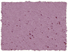 Violet 300A Art Spectrum Square Pastel - Click Image to Close