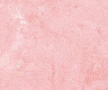 307 Scarlet Lake Sennelier Extra Soft Pastel - Click Image to Close