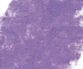 365 Cobalt Violet Sennelier Extra Soft Pastel - Click Image to Close