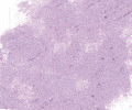 366 Cobalt Violet Sennelier Extra Soft Pastel