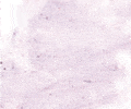 367 Cobalt Violet Sennelier Extra Soft Pastel - Click Image to Close