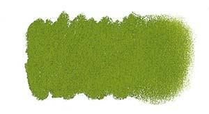 P580 Australian Leaf Green/Light Art Spectrum Soft Pastel