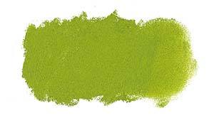 T580 Australian Leaf Green/Light Art Spectrum Soft Pastel