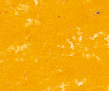 610 Cadmium Yellow Deep Sennelier Extra Soft Pastel - Click Image to Close