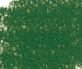 913 Forest Green Sennelier Extra Soft Pastel - Click Image to Close