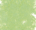 916 Forest Green Sennelier Extra Soft Pastel - Click Image to Close