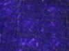 Ultramarine Violet Gamblin 1980 37ml