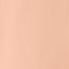 Pale Rose Blush (Flesh Tint) Gouache WN 14ml