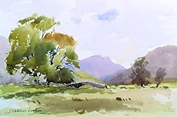 Pure Watercolour - A celebration of his life and work - Click Image to Close