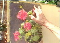 Progressing With Pastels dvd by Barry Watkins