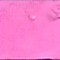 Dianthus Pink R&F 188ml
